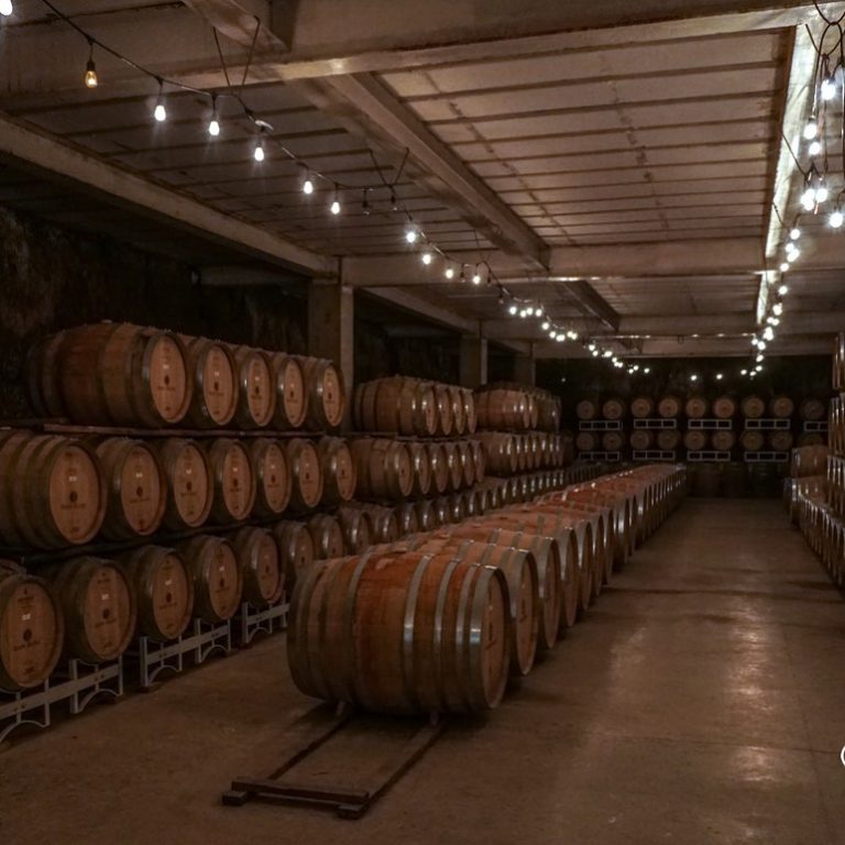 baron balche1 768x768